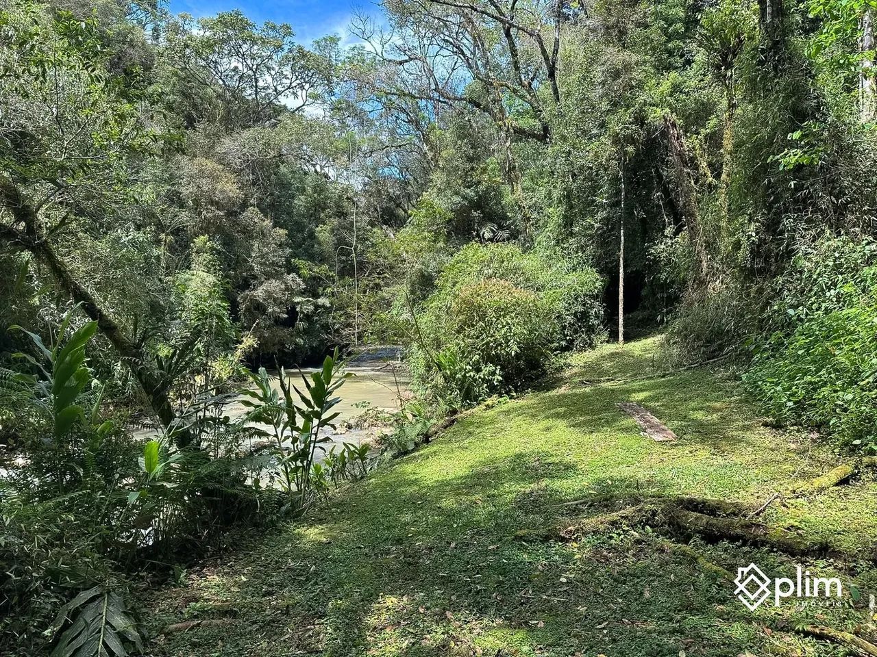 Sítio com RIO e Cachoeira em Alfredo Wagner  SC - Foto 5