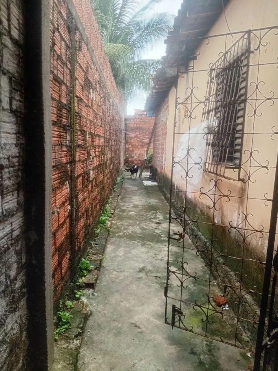 Casa .  - Foto 2