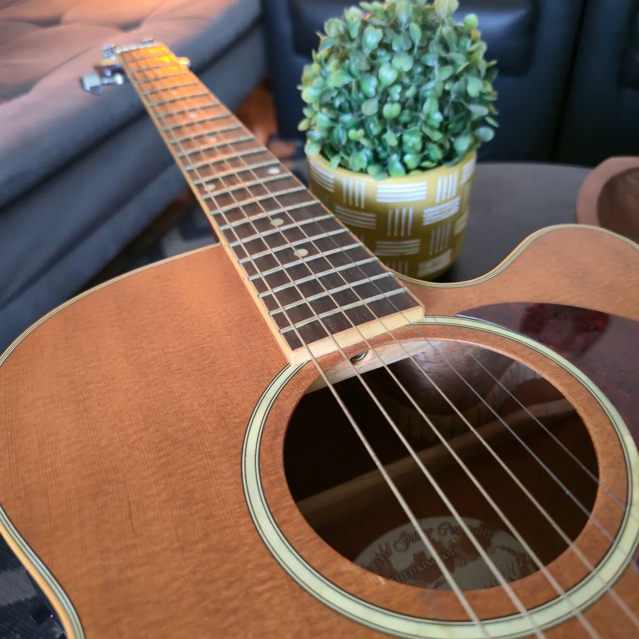 Tanglewood  - Foto 4