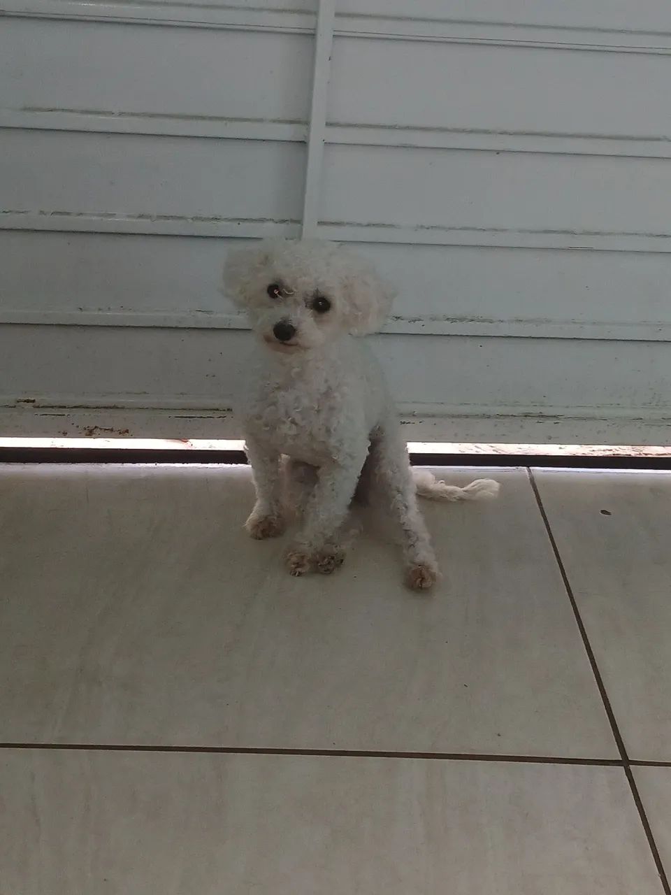 Procuro o namorado pra Sofia.