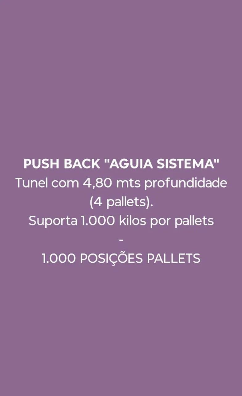 Push Back - Águia sistemas 1.000 kilos Pallet  - Foto 2