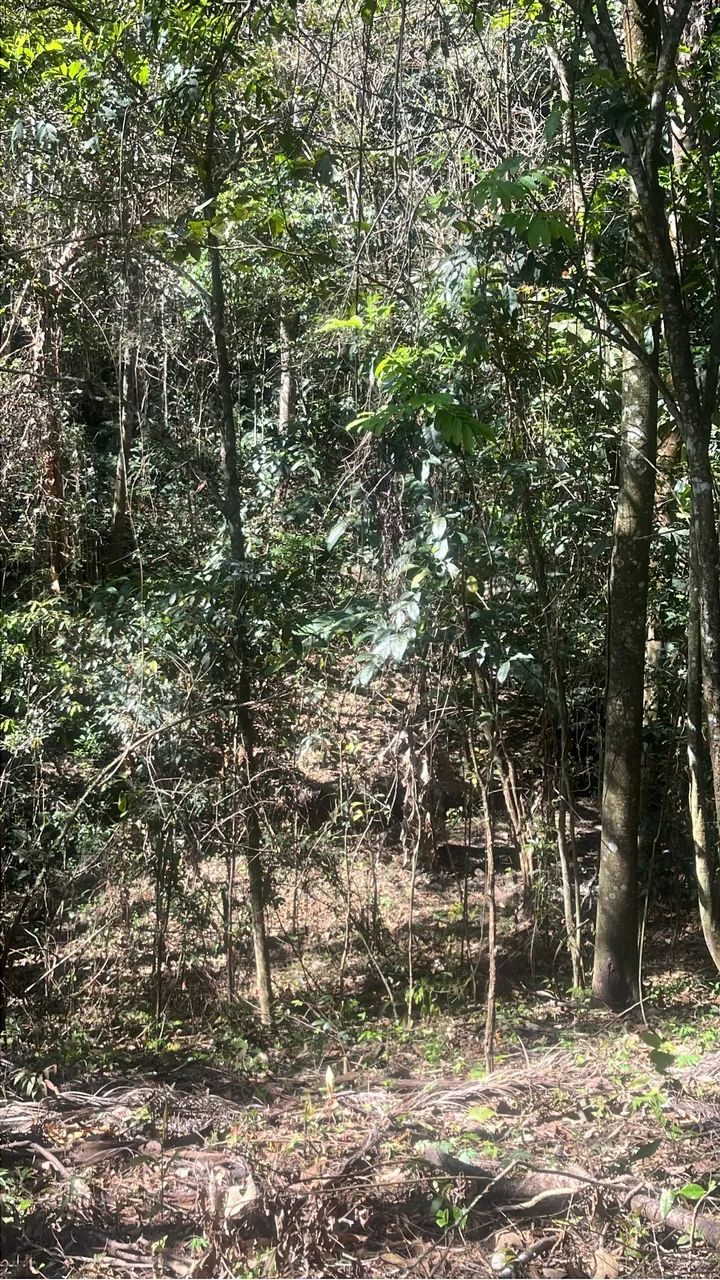 Lote 330m² em Juatuba - 6 min do Centro + Área Verde e Riacho - Foto 3