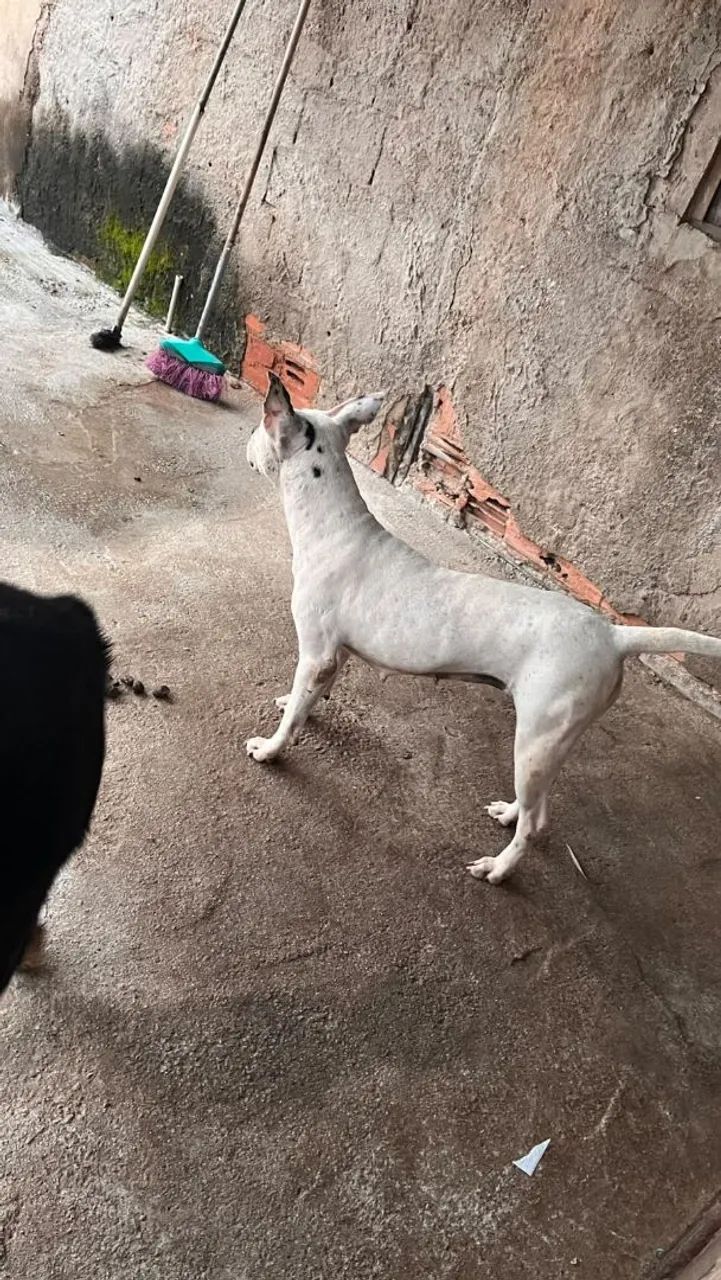 Doação q