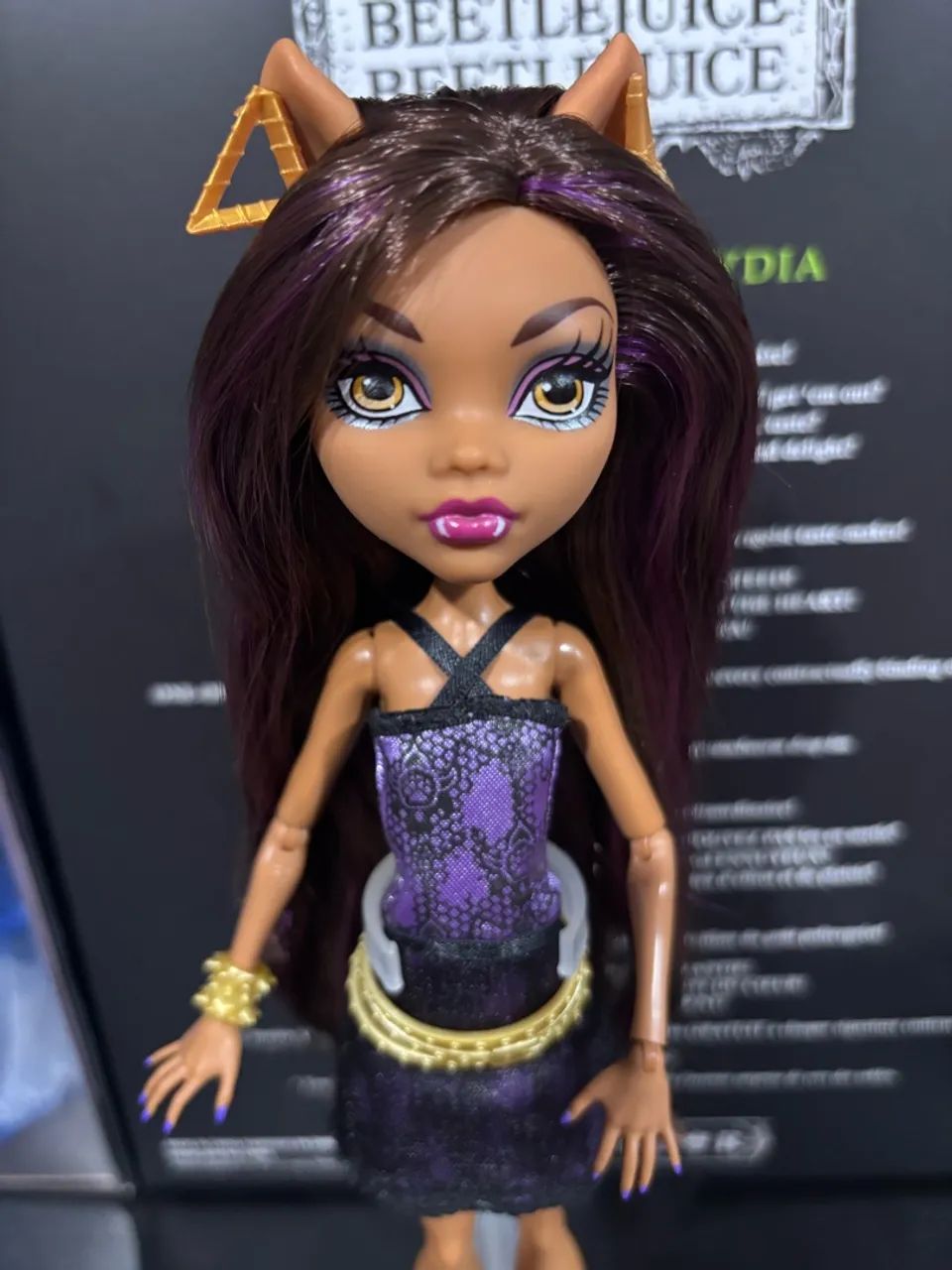 Boneca Monster High Clawdeen G1
