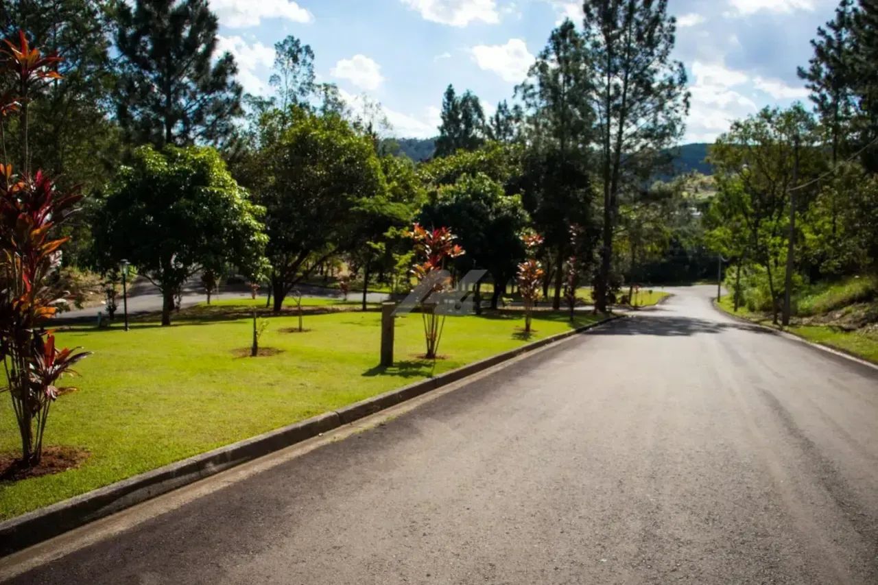 terreno - Joaquim Egídio - Campinas - Foto 4