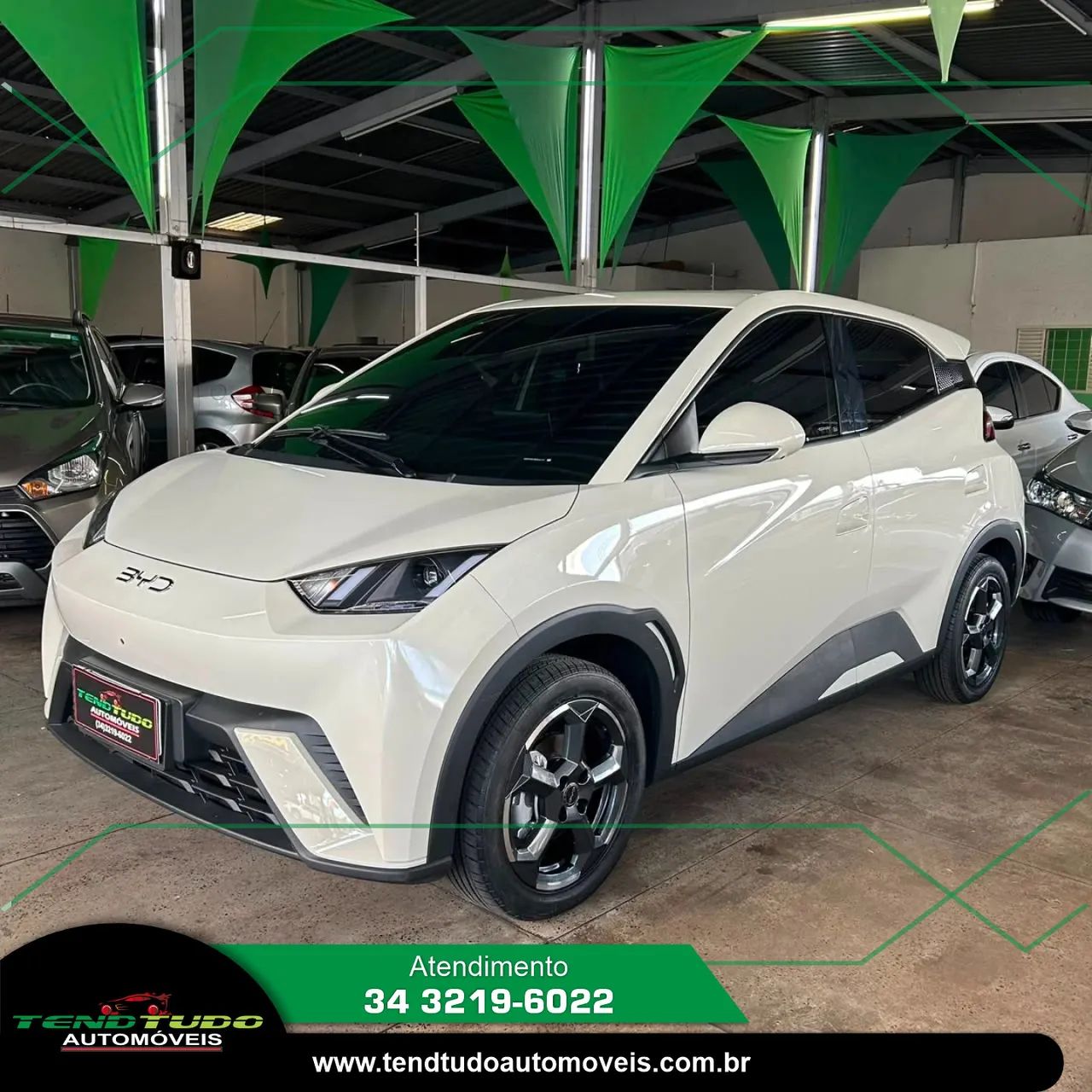BYD Dolphin Mini (Elétrico) 2025
