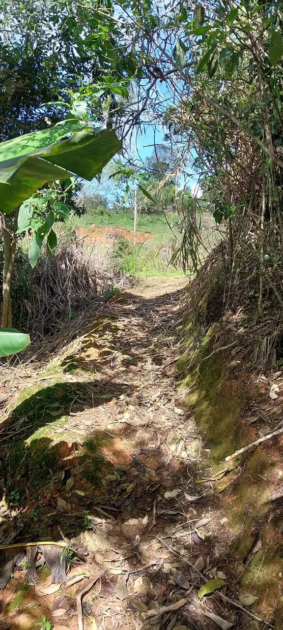 Chácara em Mandirituba - Foto 3