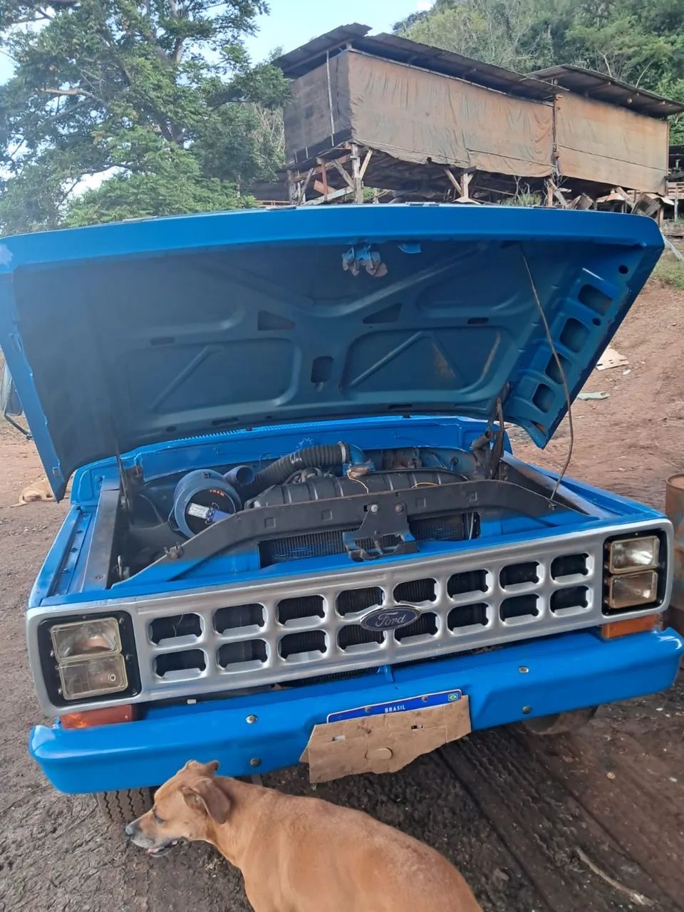 F 4000  - Foto 5