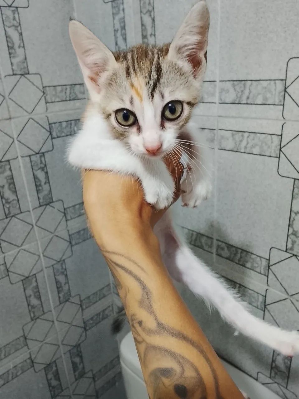 Doação 
