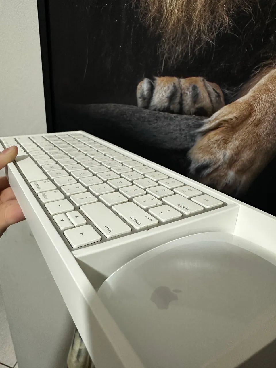 Kit Apple Magic Keyboard + Magic Mouse - Foto 4