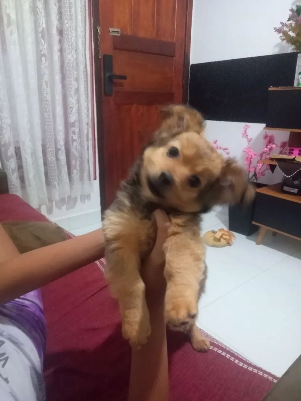 Vendo 
