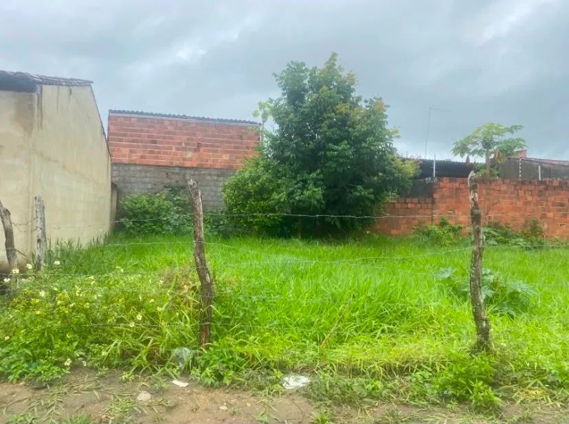 Terreno a Venda preço impérdivel. - Foto 2