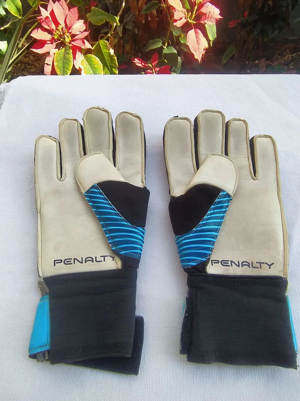 Luvas de goleiro 