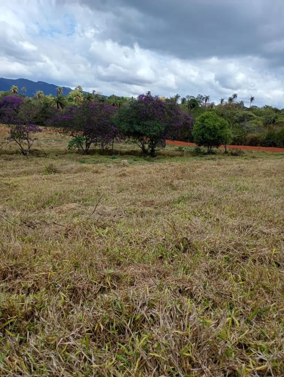 Terreno com lagoa no fundo  - Foto 2