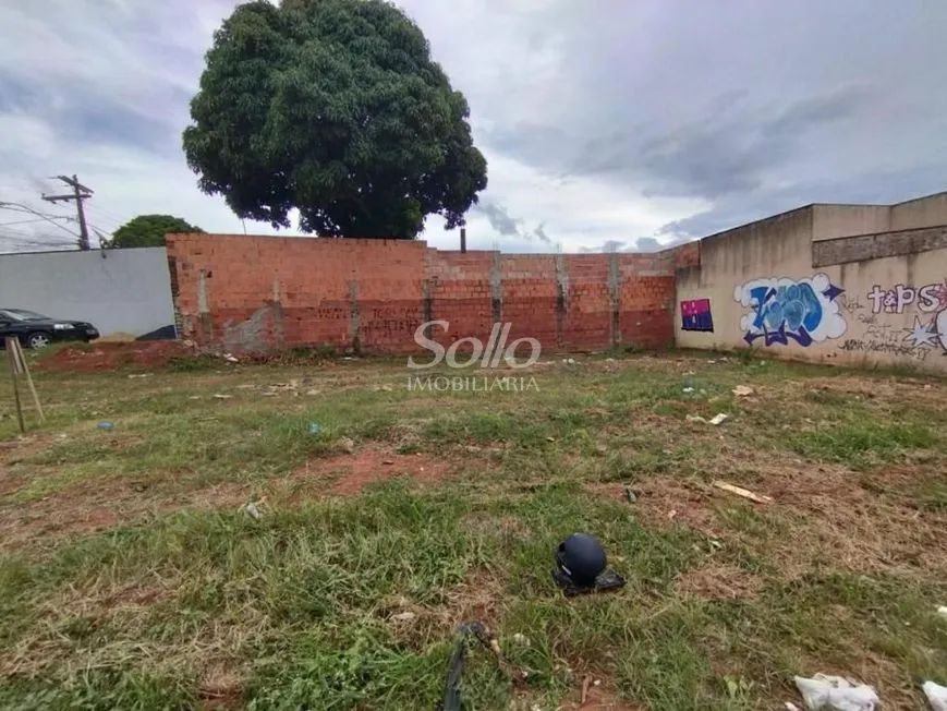 Venda Terreno SÃO JORGE - Foto 3