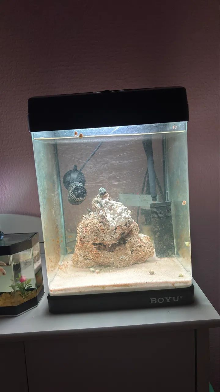 Aquário acrílico  - Foto 2