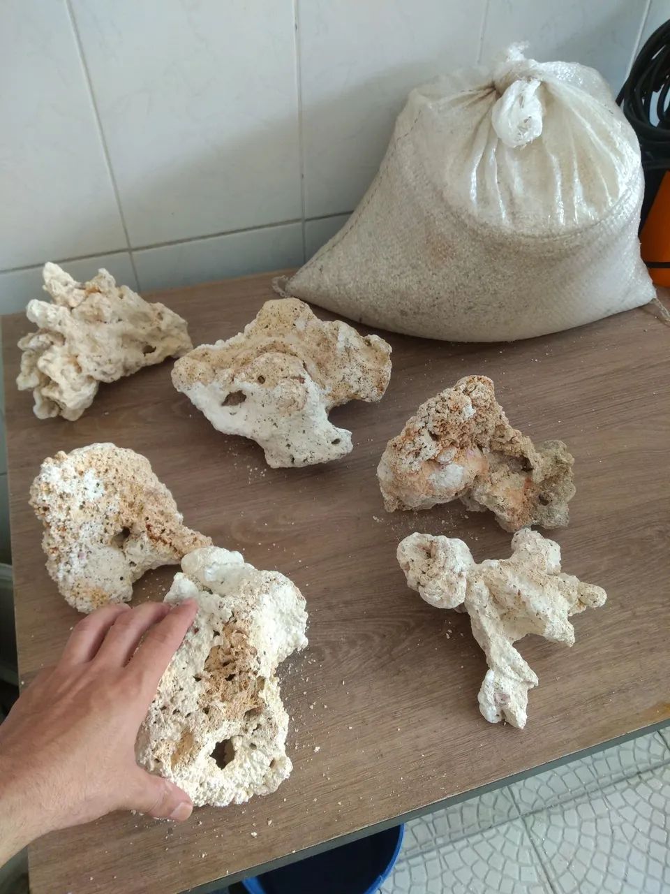 Rochas e substrato marinhos - Foto 3