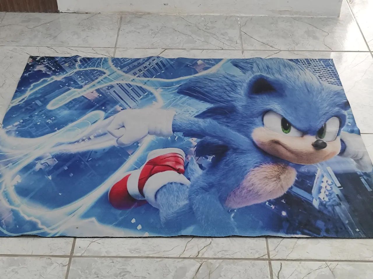 Painell e tapete sonic