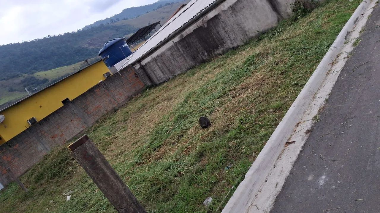Foto - Angra dos Reis - Banqueta (Cunhambebe)