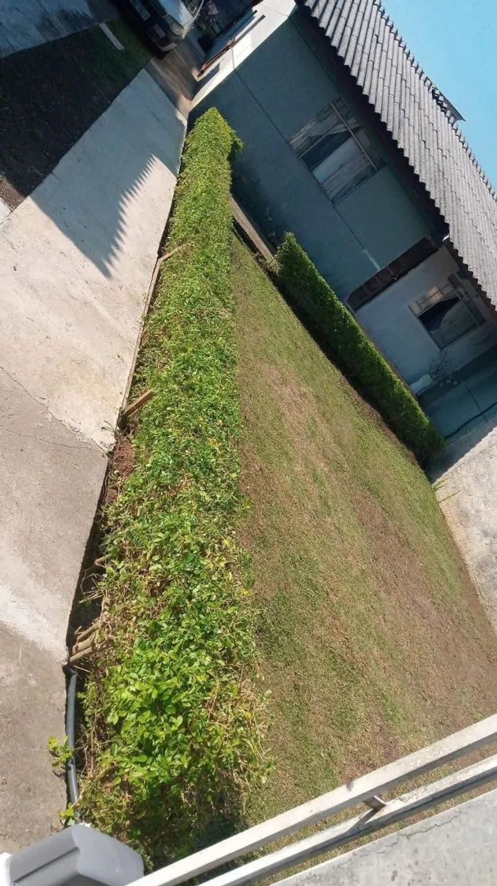 Jardineiro pinhais e região * - Foto 4
