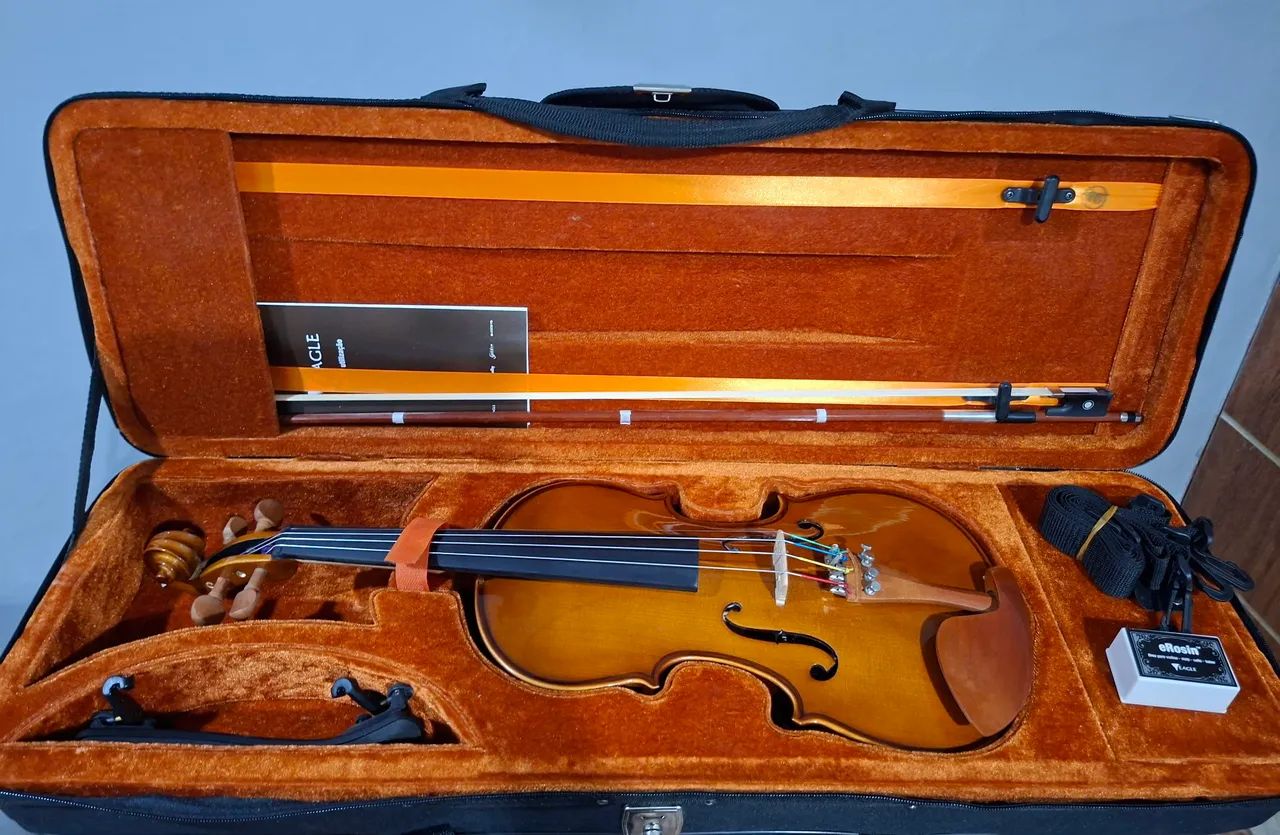 Violino Eagle 4/4 VE441