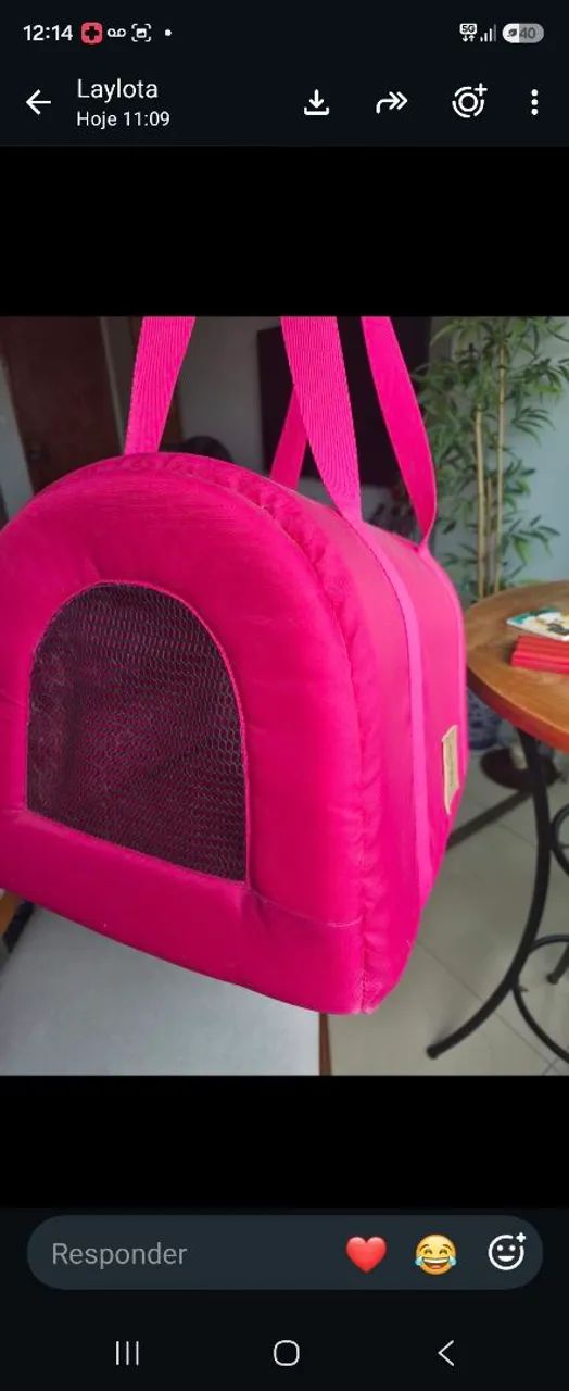 Caixa de transporte para gato 
