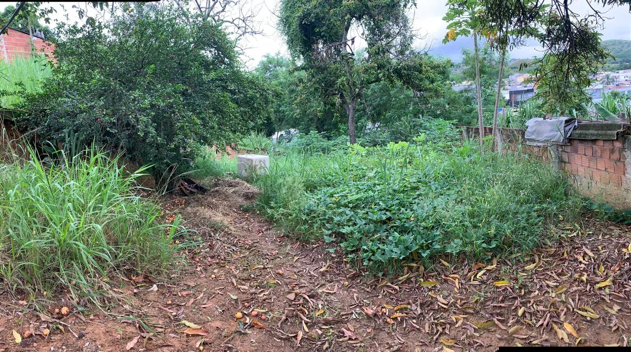 Foto - Volta Redonda - Nova Primavera