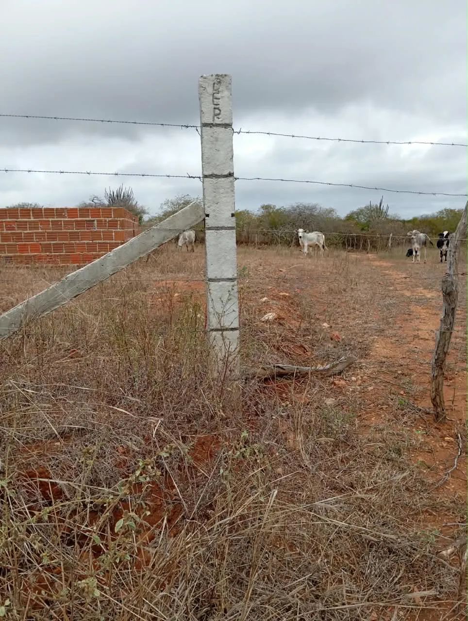 TERRENO DE 1 HECTARE À VENDA 