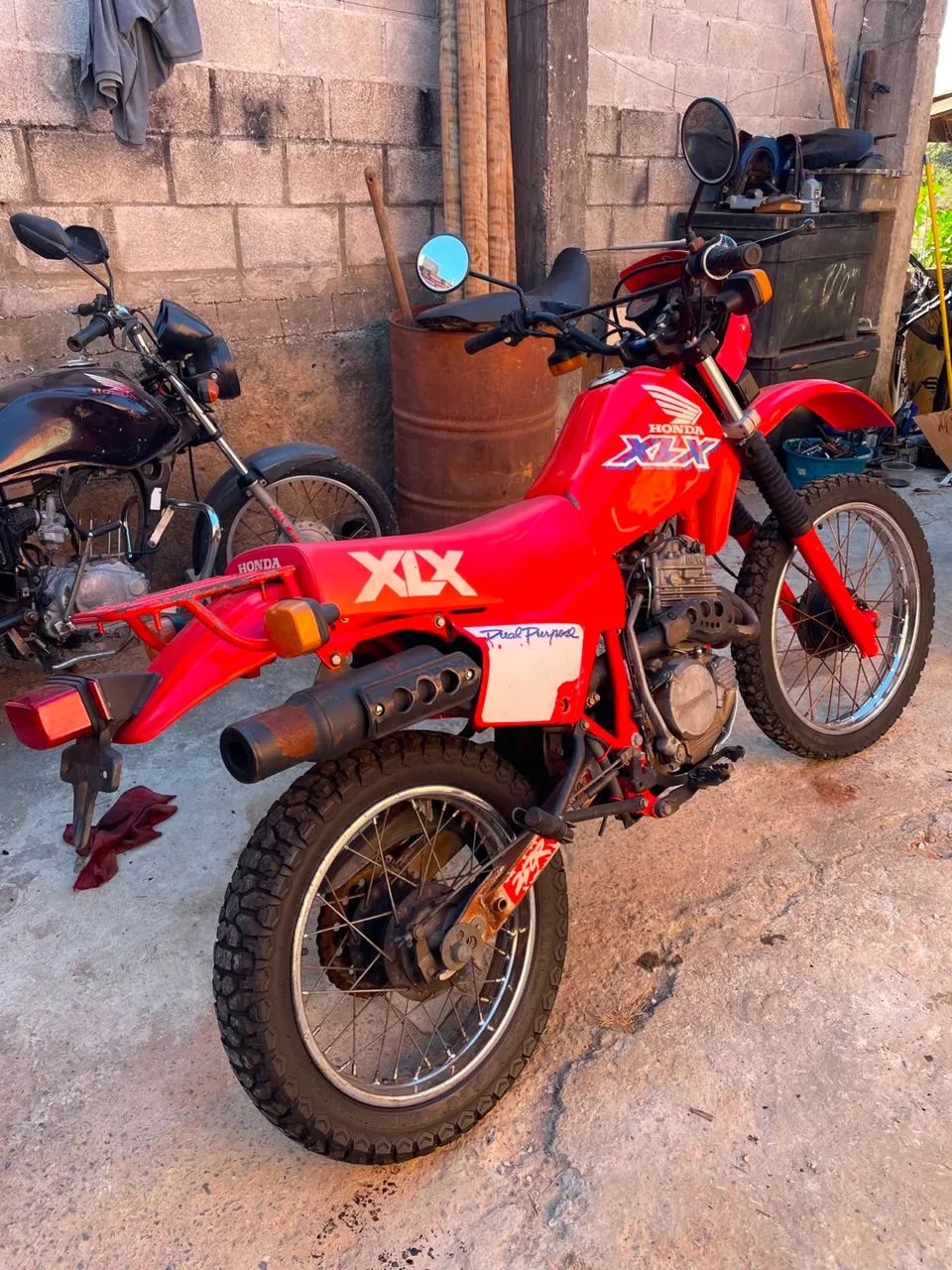 250R XLX famosa Xzelona - Foto 2