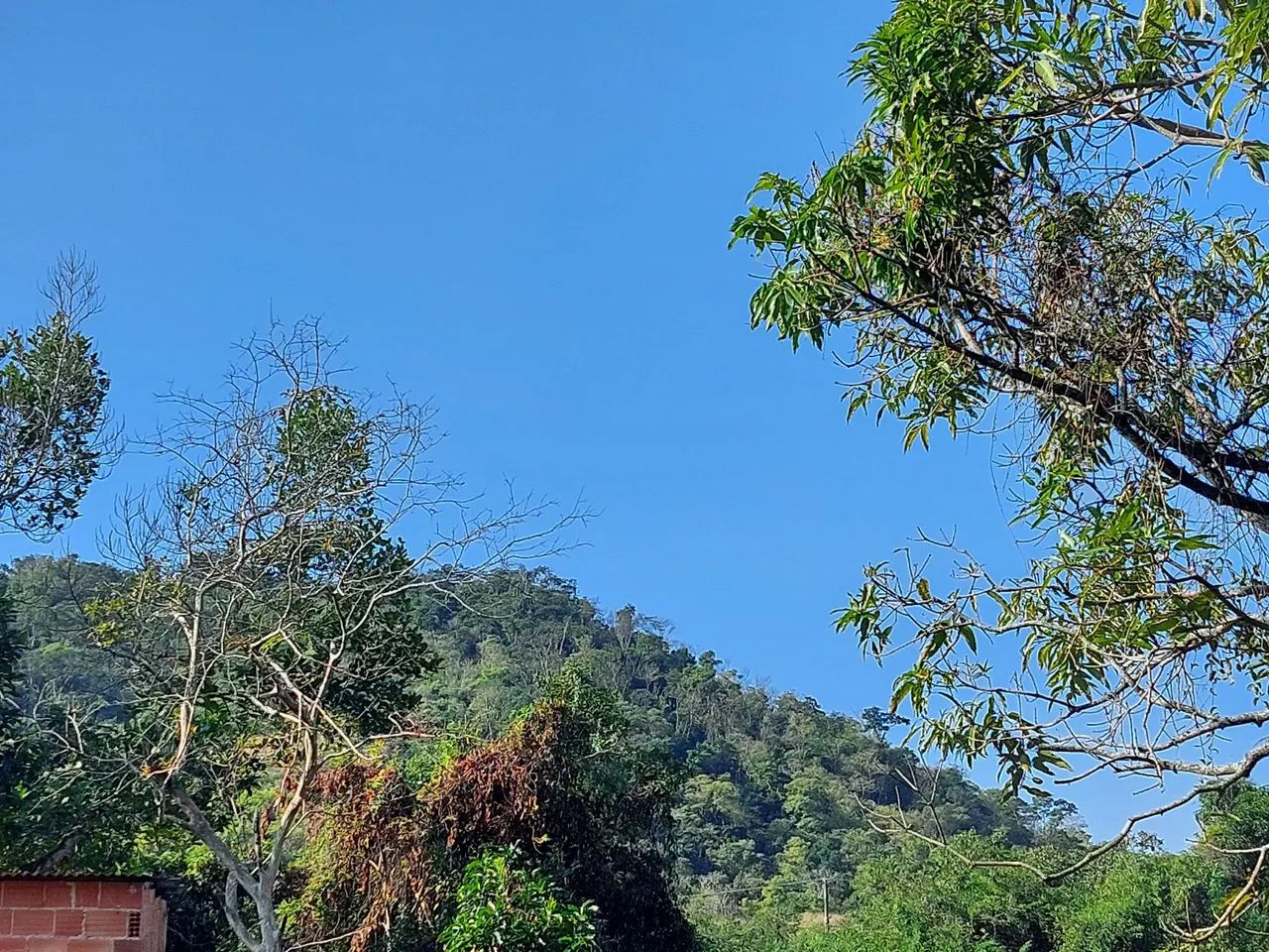 Vendo um terreno com pequena kitinet  - Foto 3