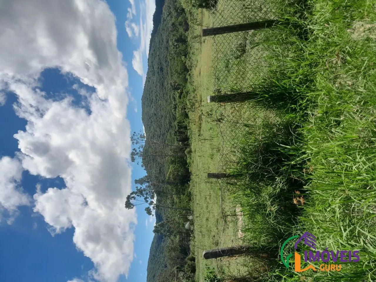 TERRENO - RATONES - SC - Foto 3