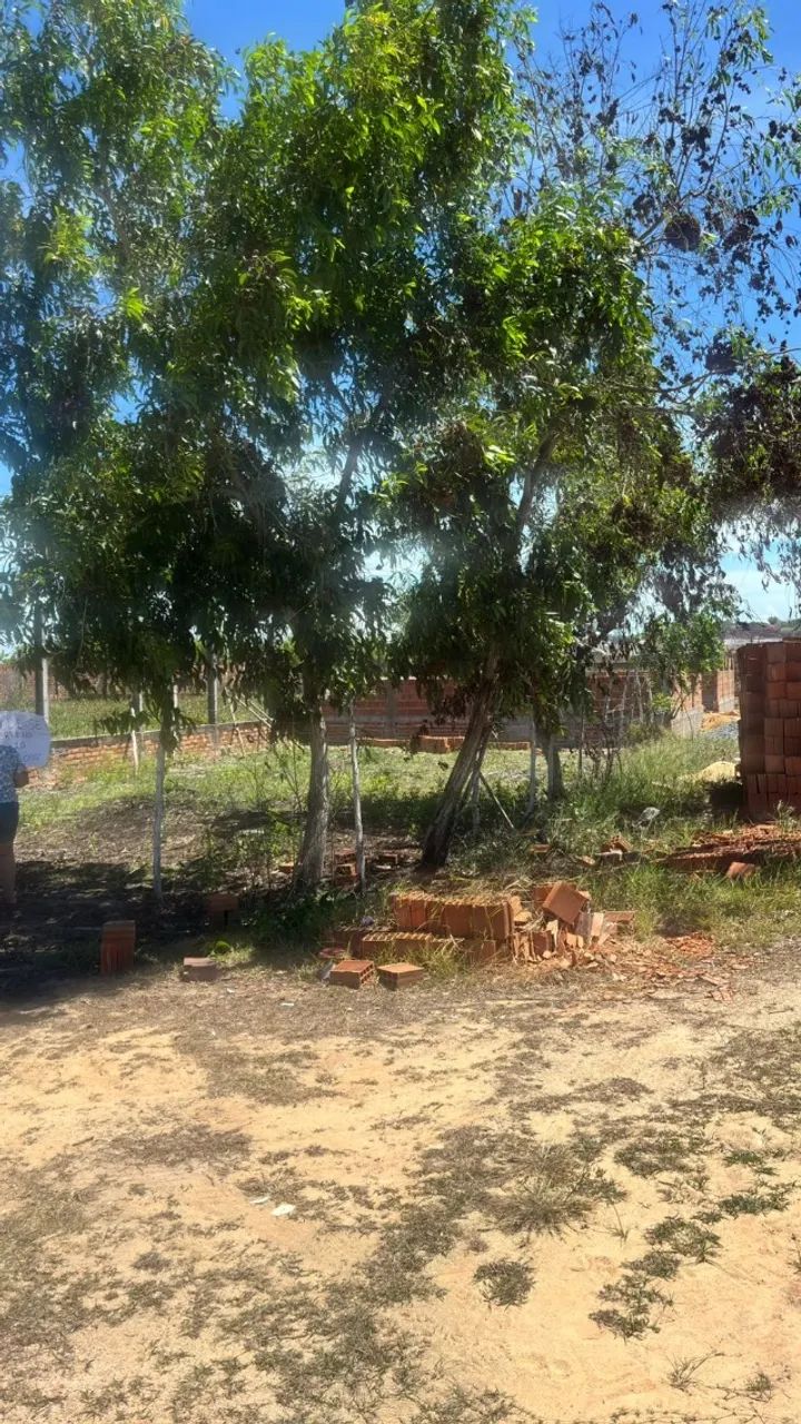 Foto - Marechal Deodoro - 