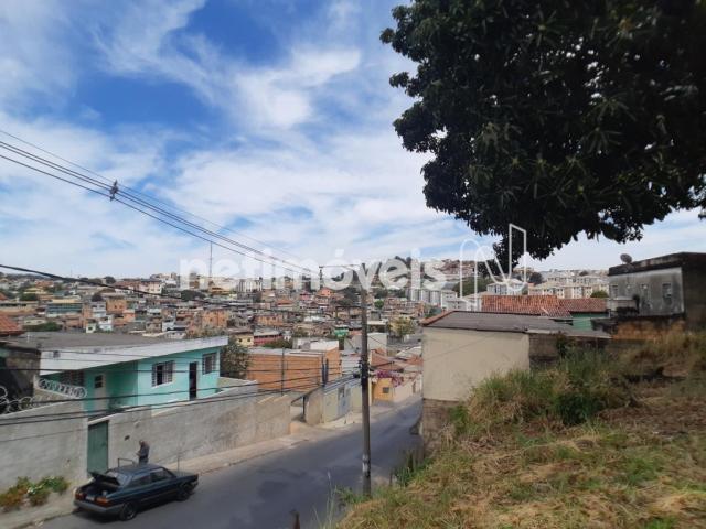 Terreno à venda em Alto dos pinheiros, Belo horizonte cod:767073 - Foto 17