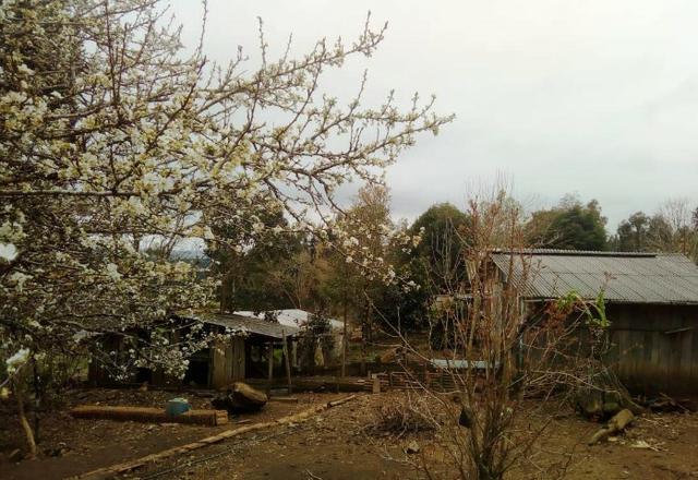 Sítio na Vila Rural (Queimadas) em Inácio Martins - Área: 5,044.09 m² - Foto 14