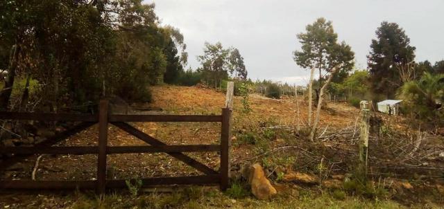 Sítio na Vila Rural (Queimadas) em Inácio Martins - Área: 5,044.09 m² - Foto 20