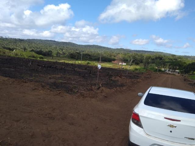 Lotes em Viçosa do Ceará - Foto 10