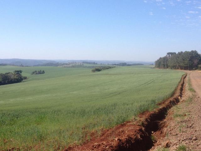 8271 | Fazenda à venda em ZONA RURAL, Espigão Alto Do Iguaçu - Foto 3