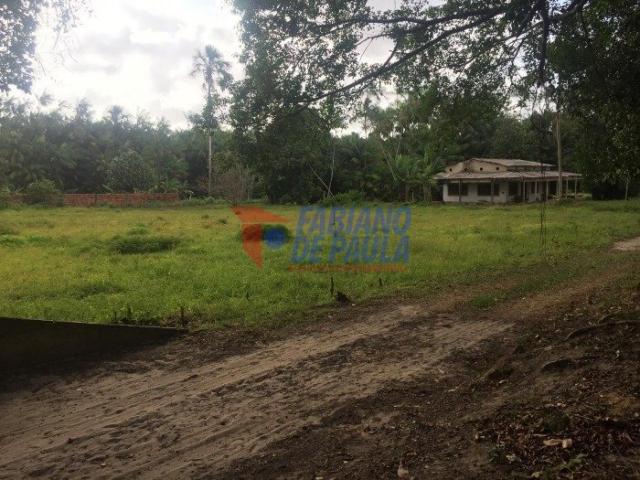 Terreno à venda com 0 dormitórios em Chácara itapiracó, São luís cod:617 - Foto 2