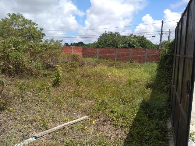 Terreno - Foto 5