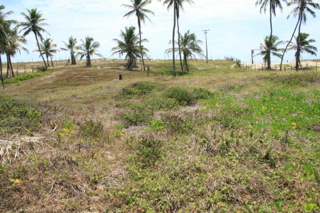 Terreno escriturado em Siribinha - Foto 5