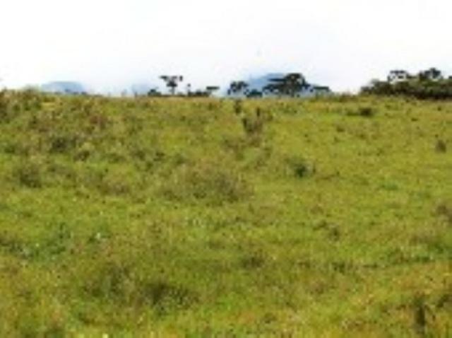 Sitio em Urubici/ área rural /chácara