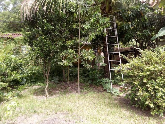 Caetano Imóveis - Sítio em Agro Brasil com casa sede 2 andares - Foto 12