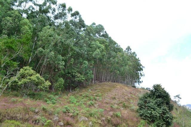 Terreno residencial à venda, Água Quente, Teresópolis. - Foto 7