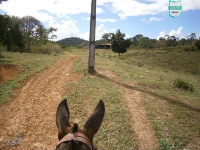 Fazenda na cidade de Ibirataia a 340 Km de Salvador e 320 Km de Camaçari - Foto 8
