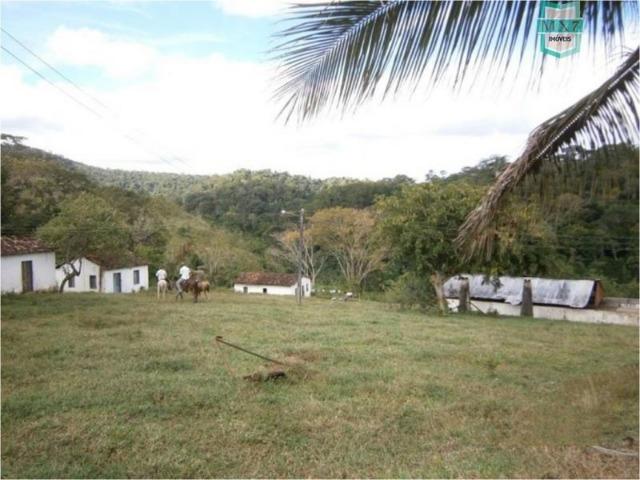 Fazenda na cidade de Ibirataia a 340 Km de Salvador e 320 Km de Camaçari - Foto 16