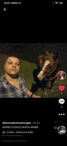EGUA ÁRABE PURA PRENHA DE 4 MESES - Foto 4
