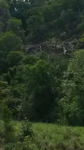 Fazenda de 300 alqueires em cavalcante go - Foto 5