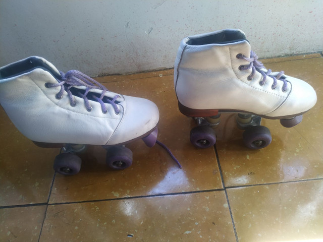 olx patins porto alegre