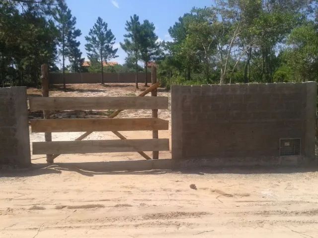 Oferta - Lindo Terreno 1.000 m2 no Rio Vermelho/Florianópolis - Acesso praia Moçambique - Foto 5