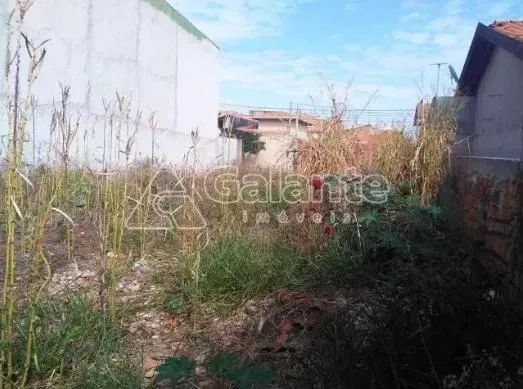 terreno - Vila San Martin - Campinas - Foto 7